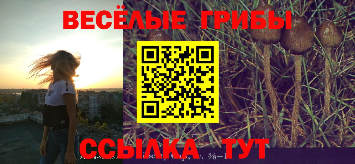 Галлюциногенные грибы мицелий Александров