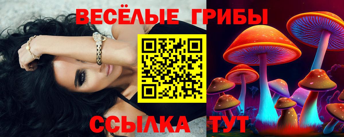 Александров  Псилоцибиновые грибы Magic Shrooms  Вход с VPN 